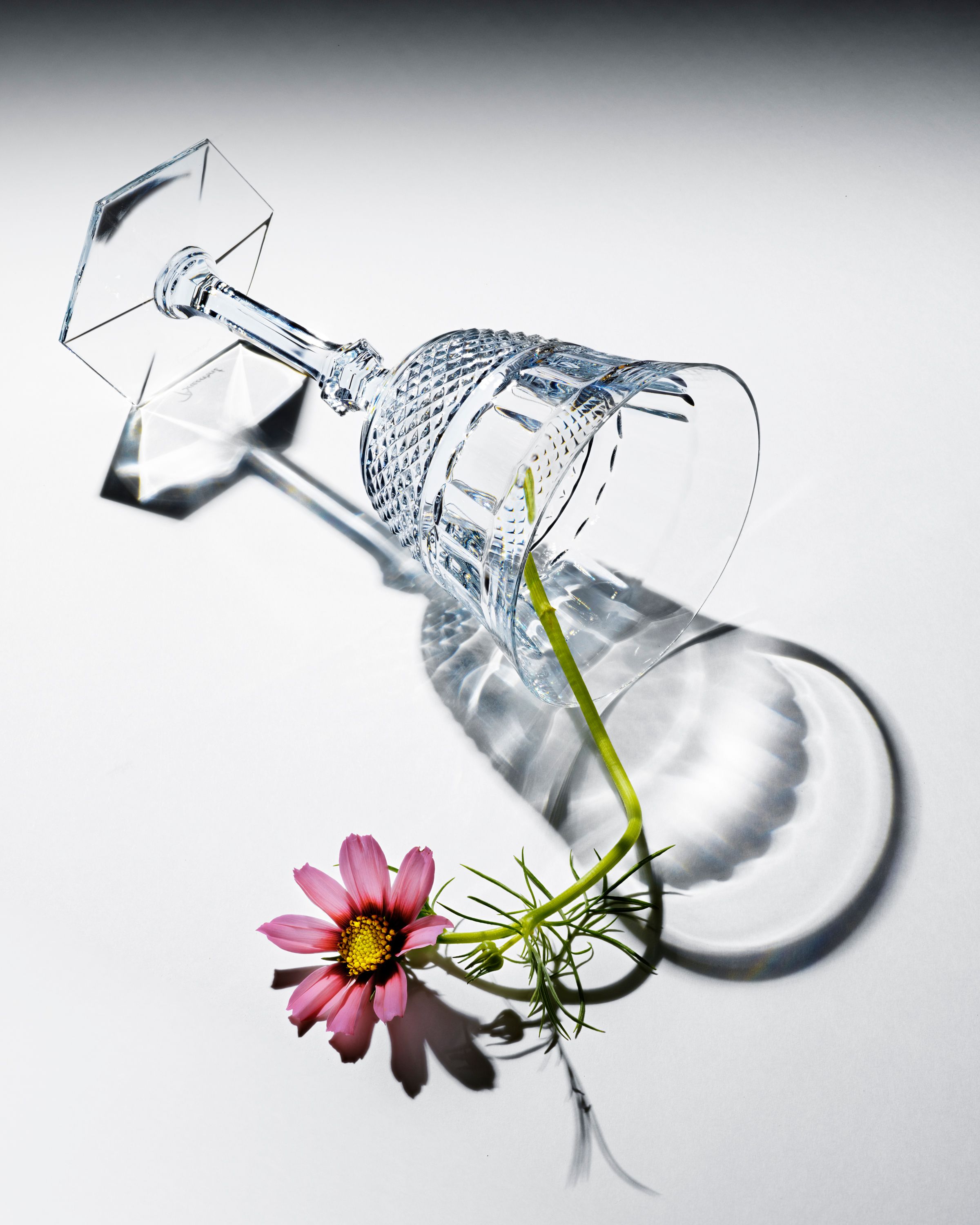 Baccarat - Crystal Flower