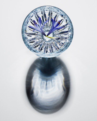 Baccarat - Crystal Flower