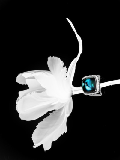 Fred - Jewelry