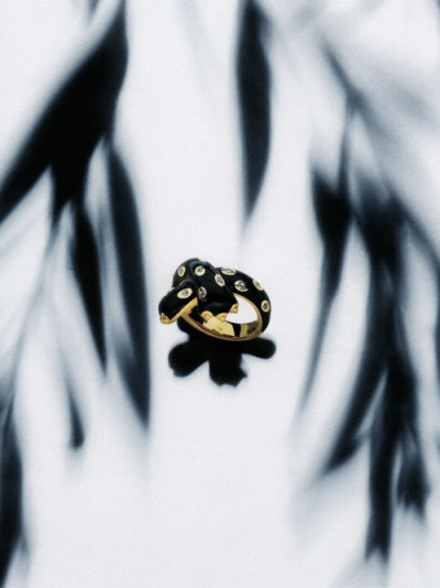 Fred - Jewelry
