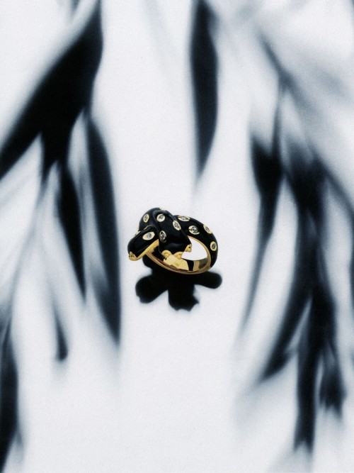 Fred - Jewelry