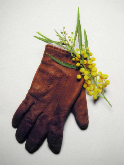 Gants Ebouriffés