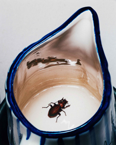 The Ordinary - Adriana Pinto Azevedo