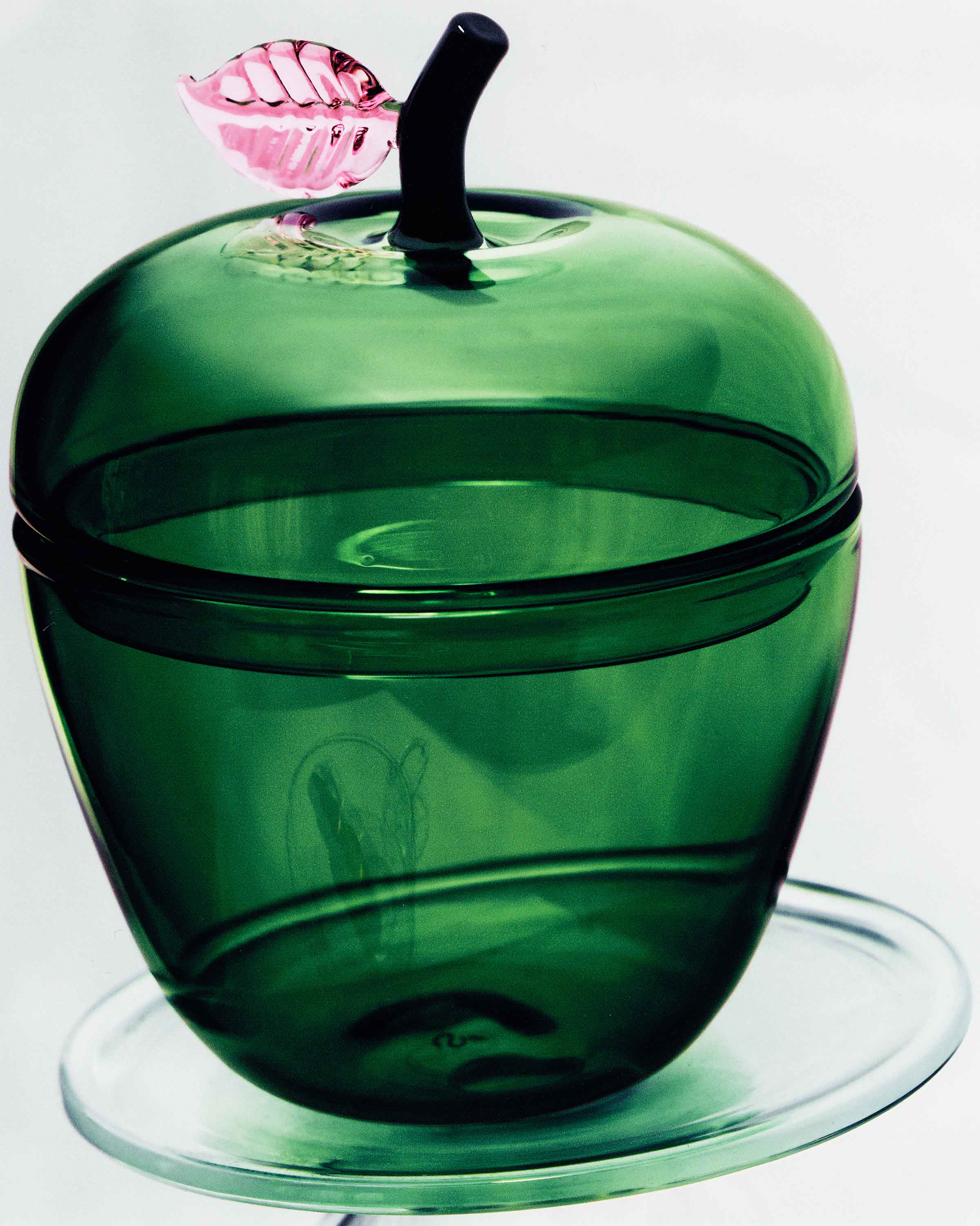 The Ordinary - Adriana Pinto Azevedo