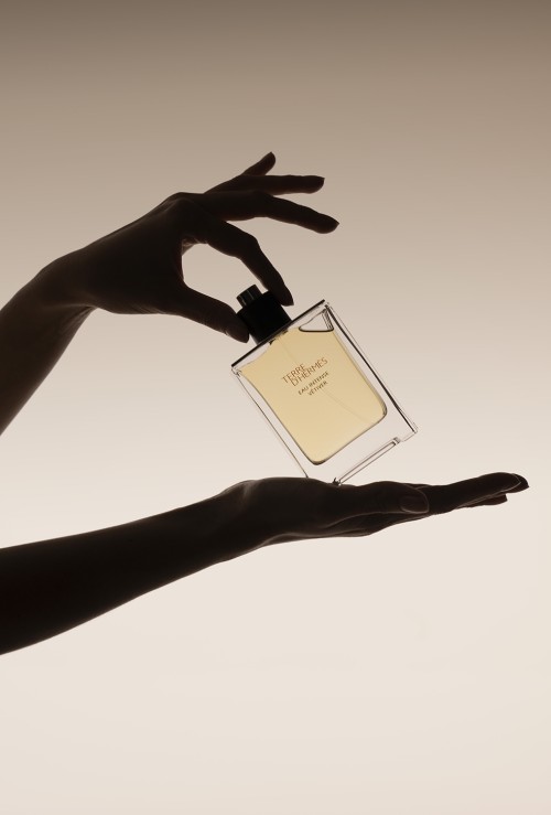 Hermès Shadow
