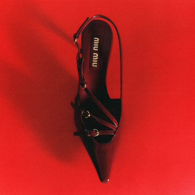 Gala - Still life