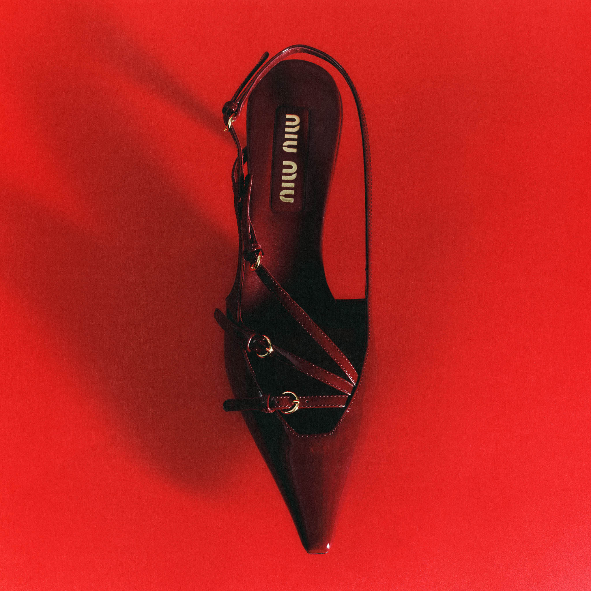 Gala - Still life