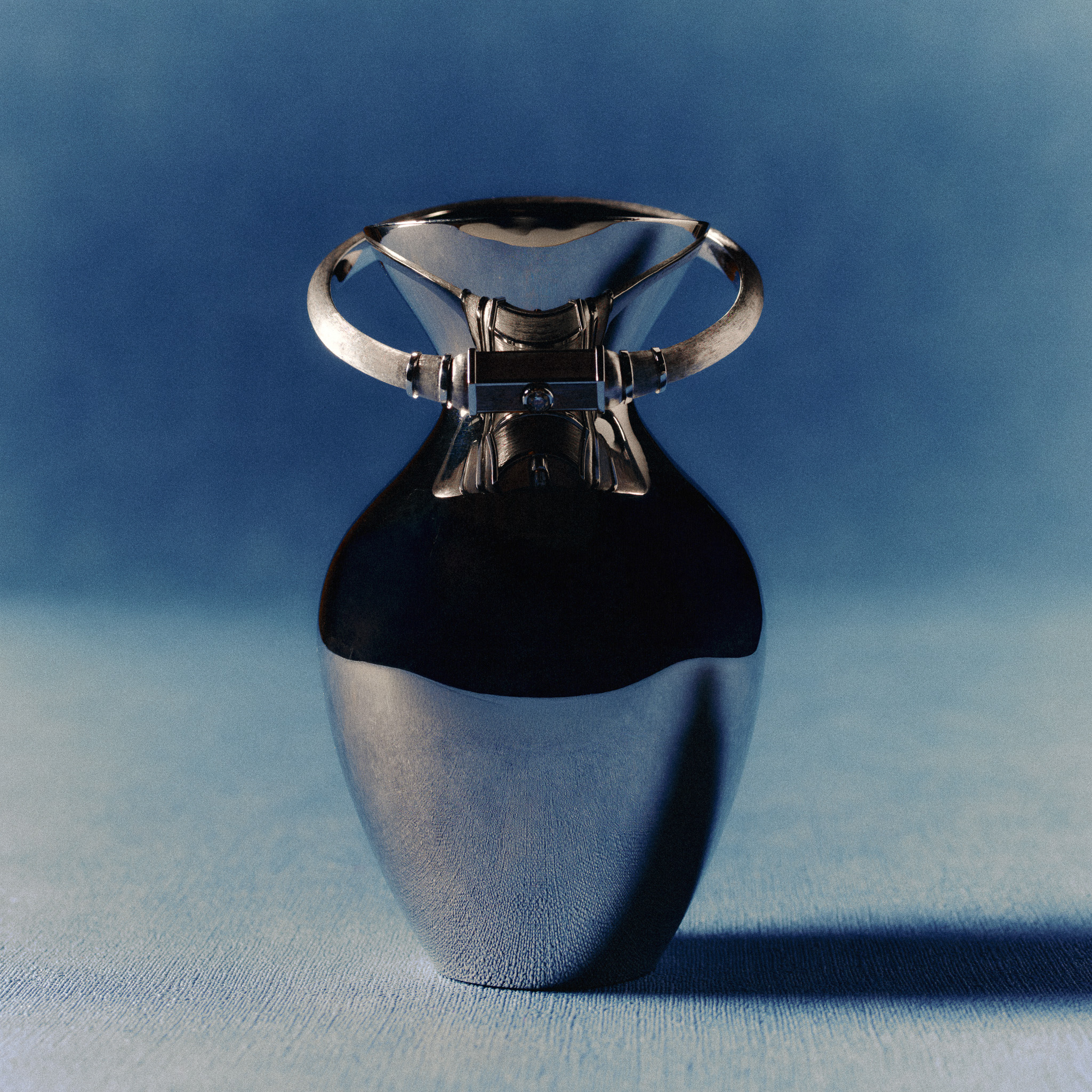 Gala - Still life