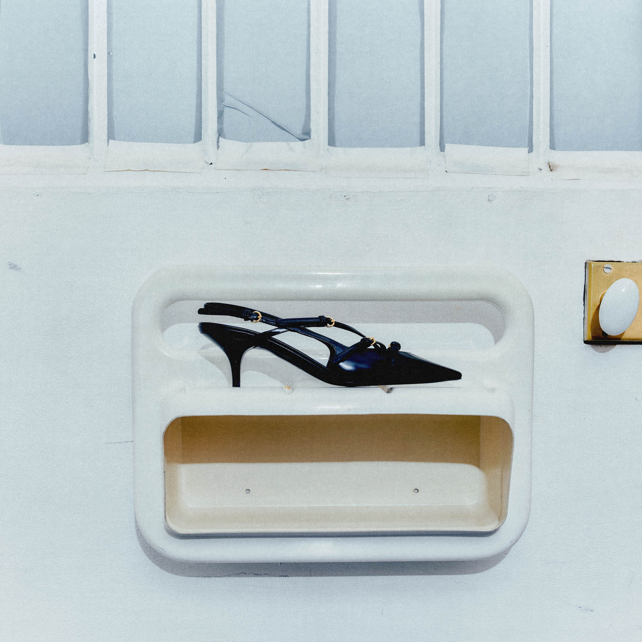 Gala - Still life