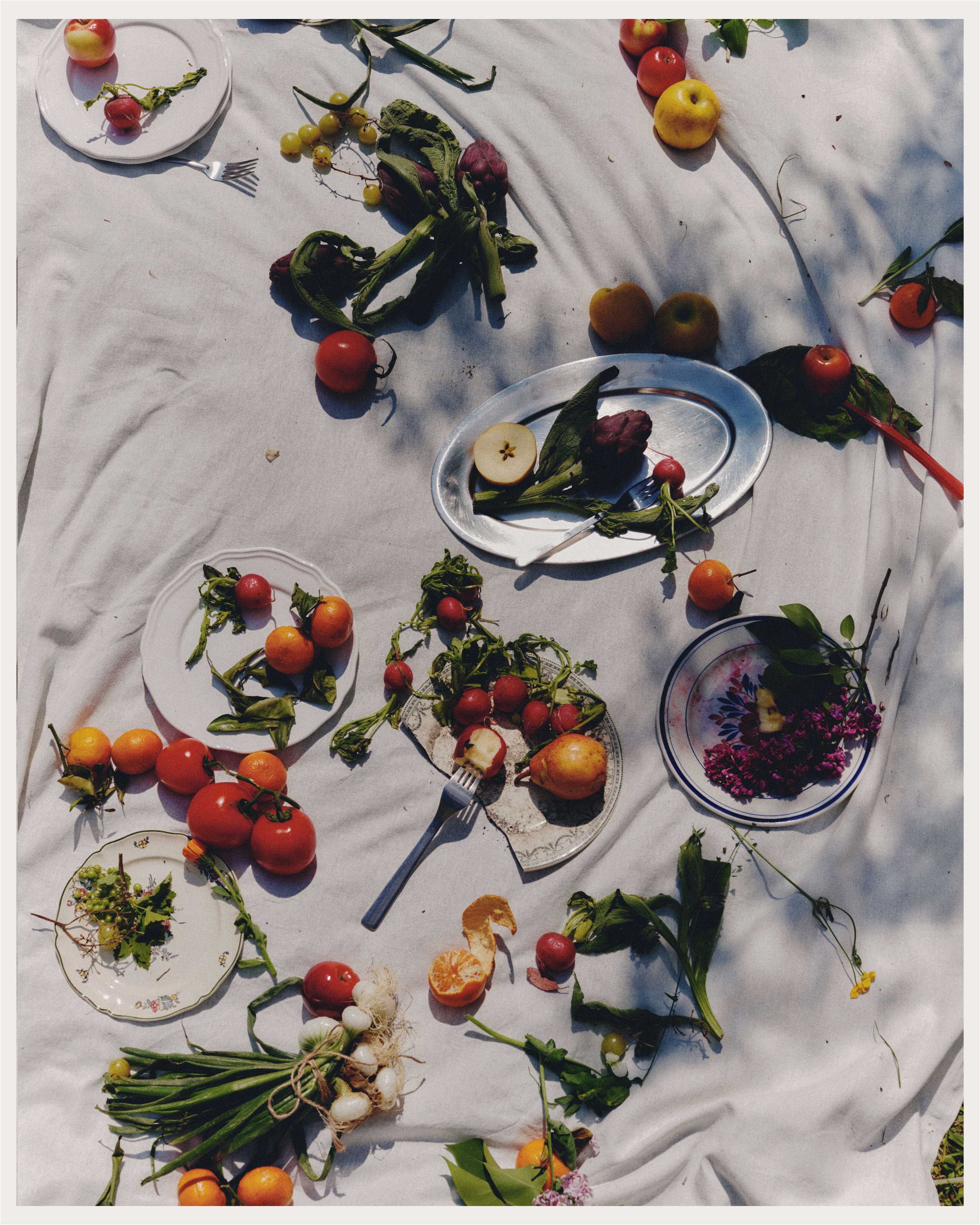 Materia Botanica