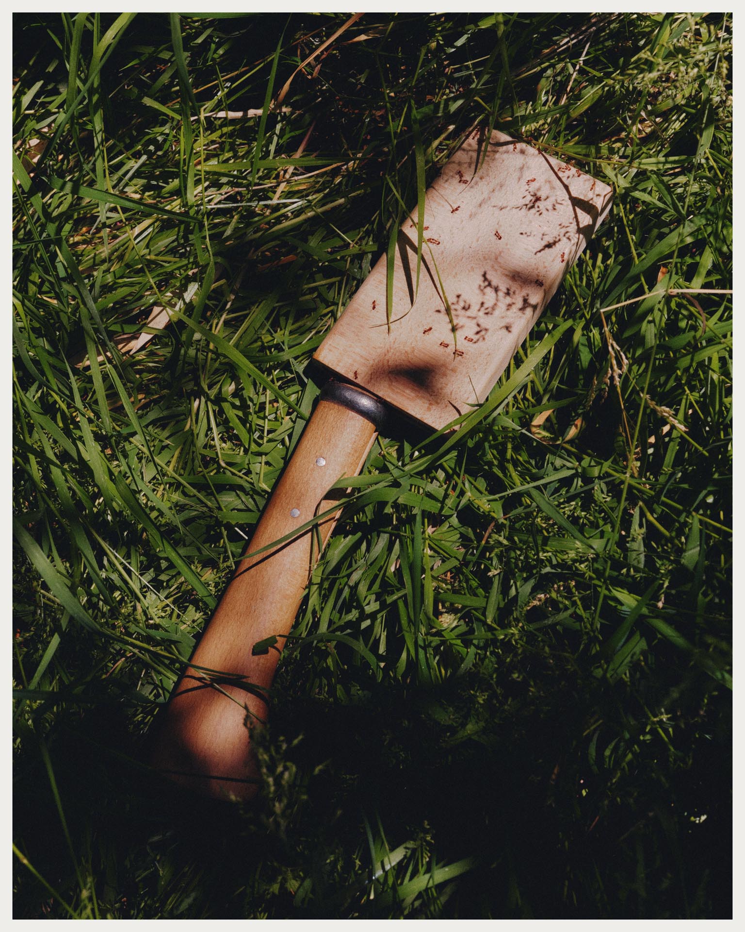 Regain Magazine - Plastique Pas Automatique