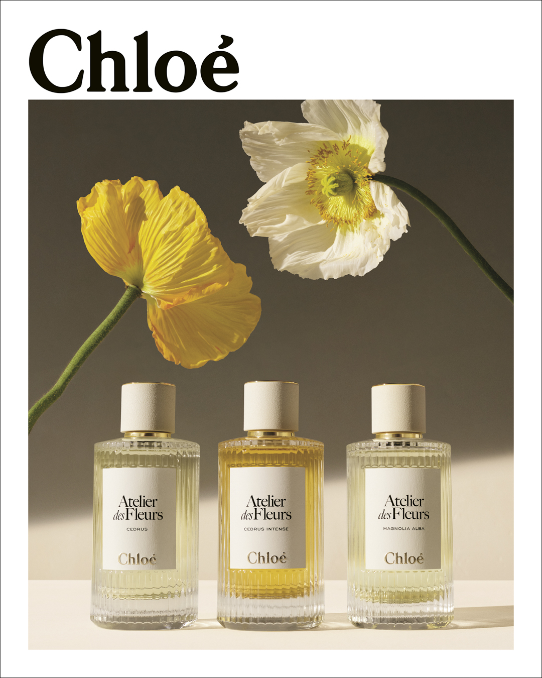 Chloé Atelier Des Fleurs