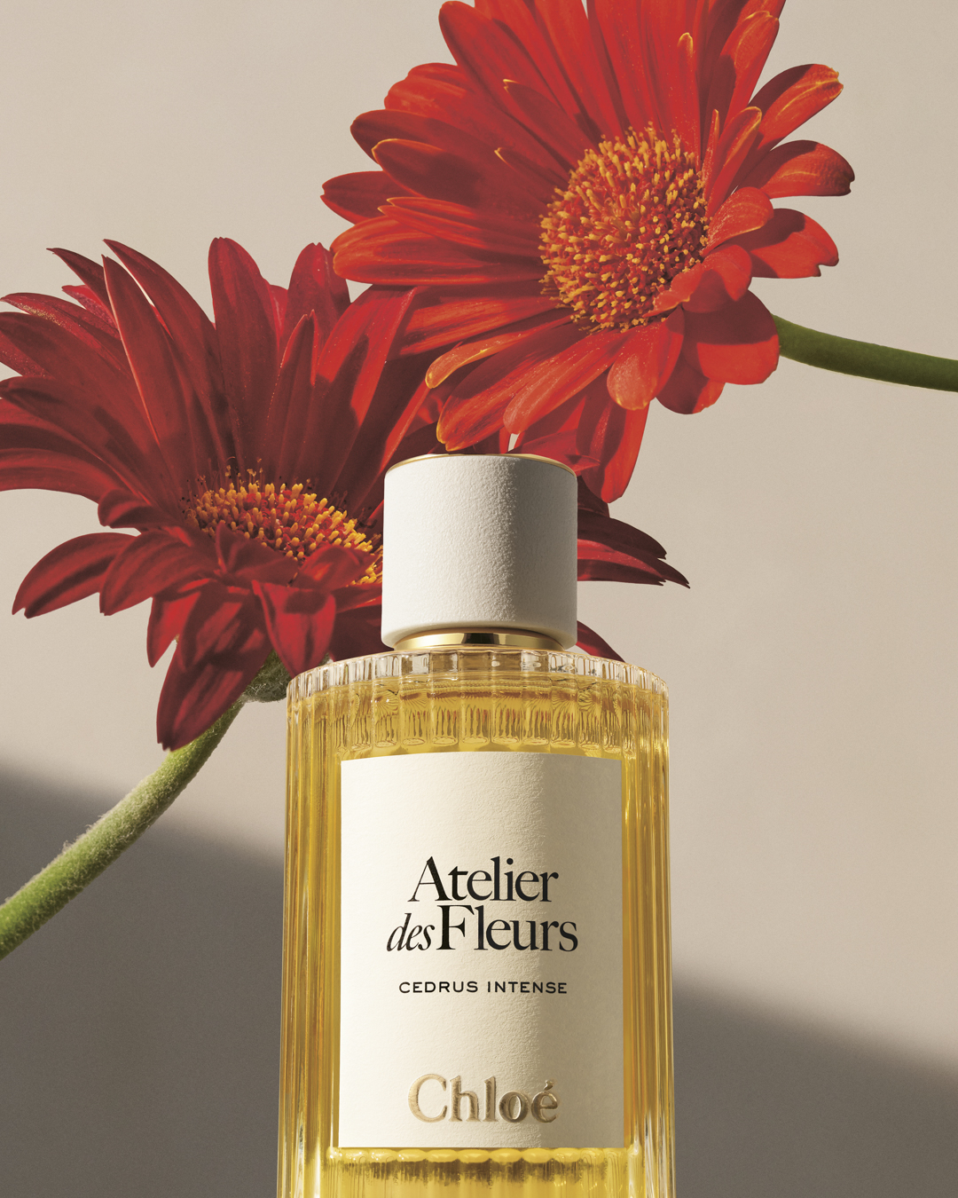Chloé Atelier Des Fleurs