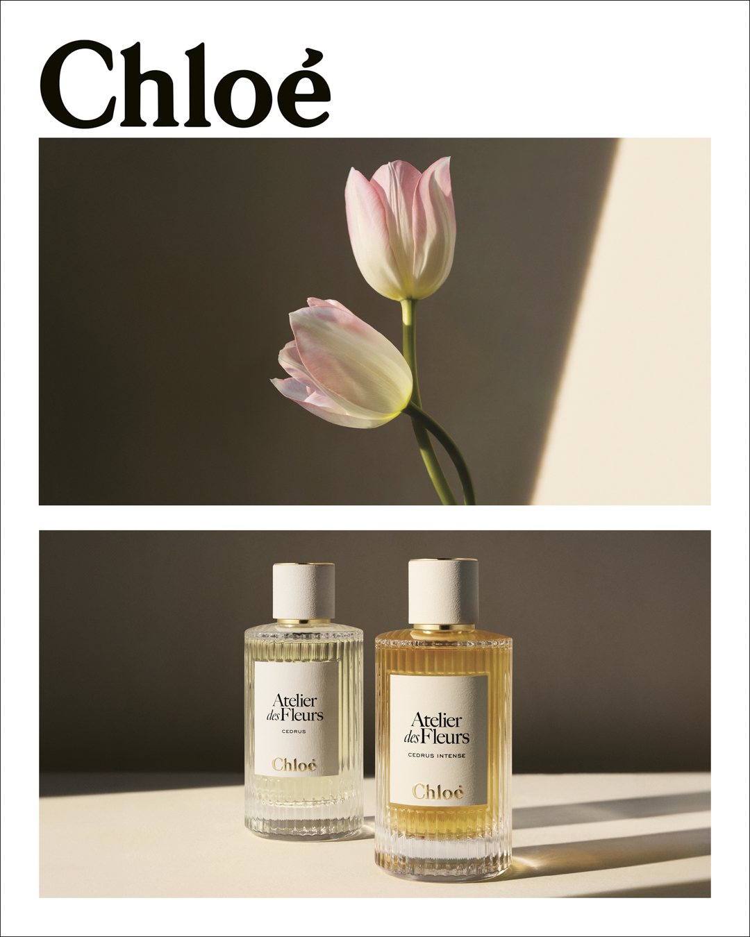 Chloé Atelier Des Fleurs