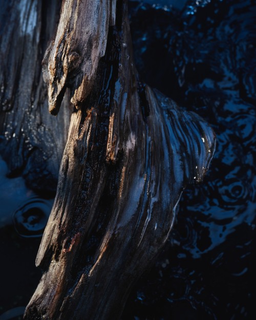 Dior - Sauvage Intense w/ Florian Joye