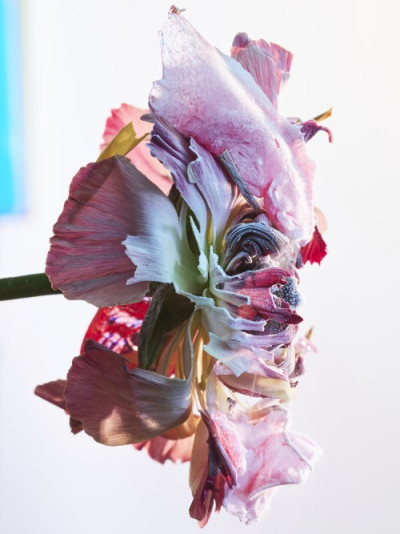 Floracide w/ Florian Joye