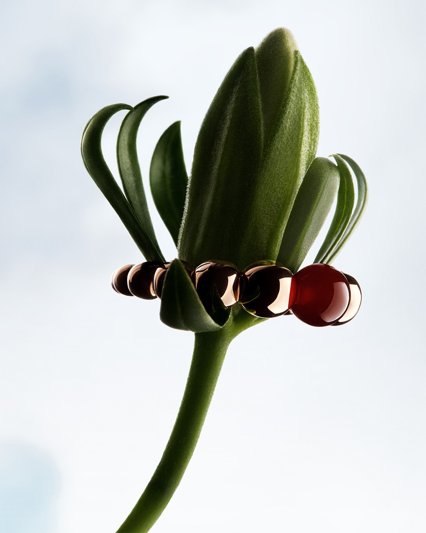 Van Cleef & Arpels