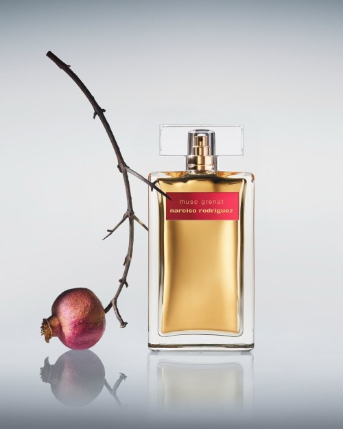 Narciso - Musc Collection w/ Steve Harries